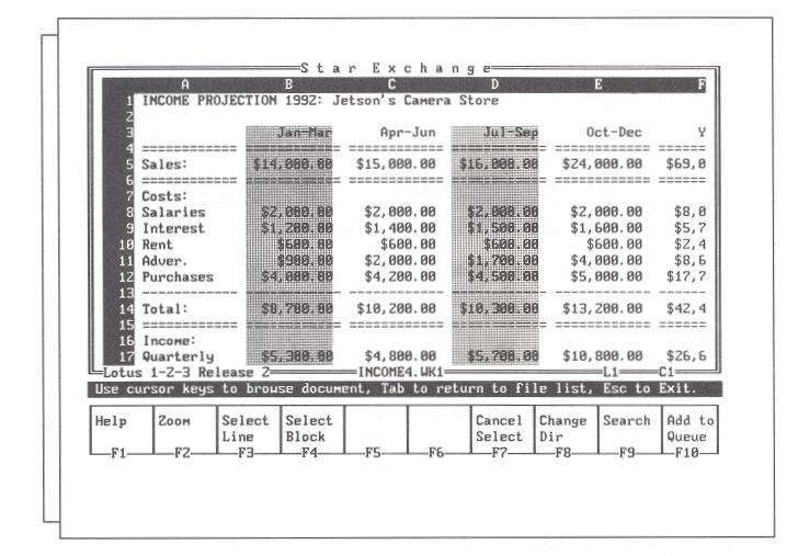Selected spreadsheet columns